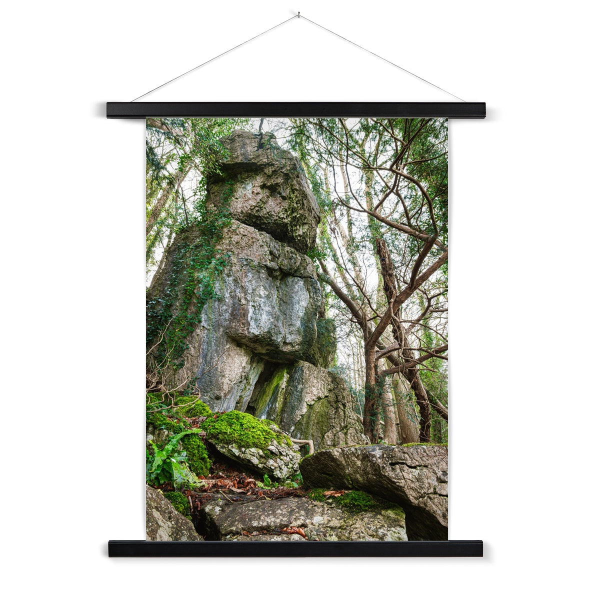 Rock Guardian Fine Art Print with Hanger
