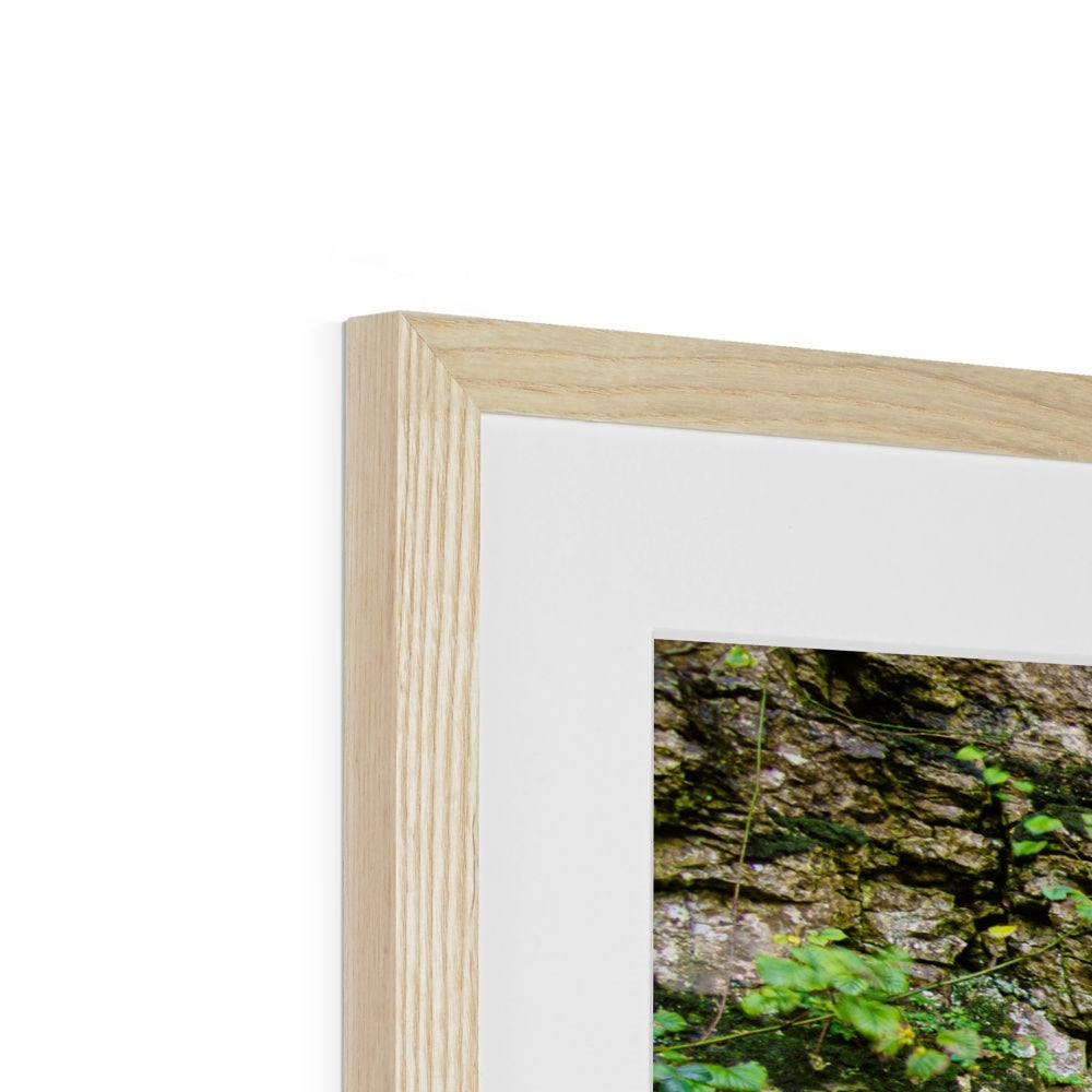 Woodwell Dawn Framed & Mounted Print