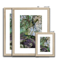 Yew guardian Framed & Mounted Print