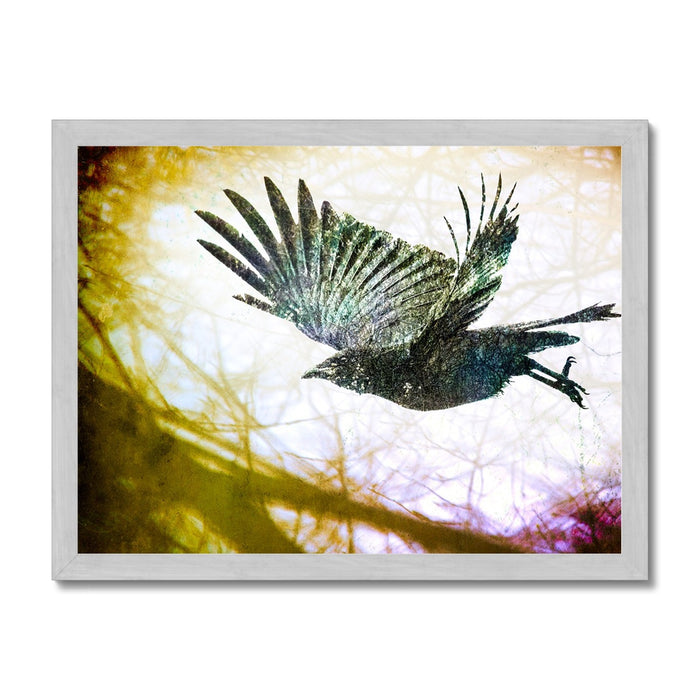 Woodland Crow Antique Framed Print