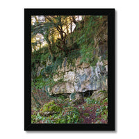Woodwell Mystery Framed Print