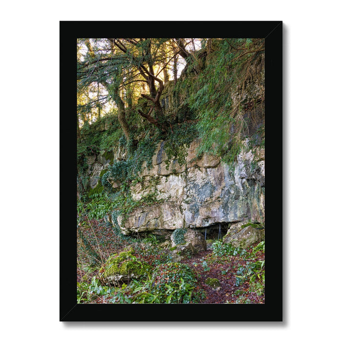 Woodwell Mystery Framed Print