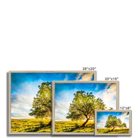 The Winskill Ash Framed Print