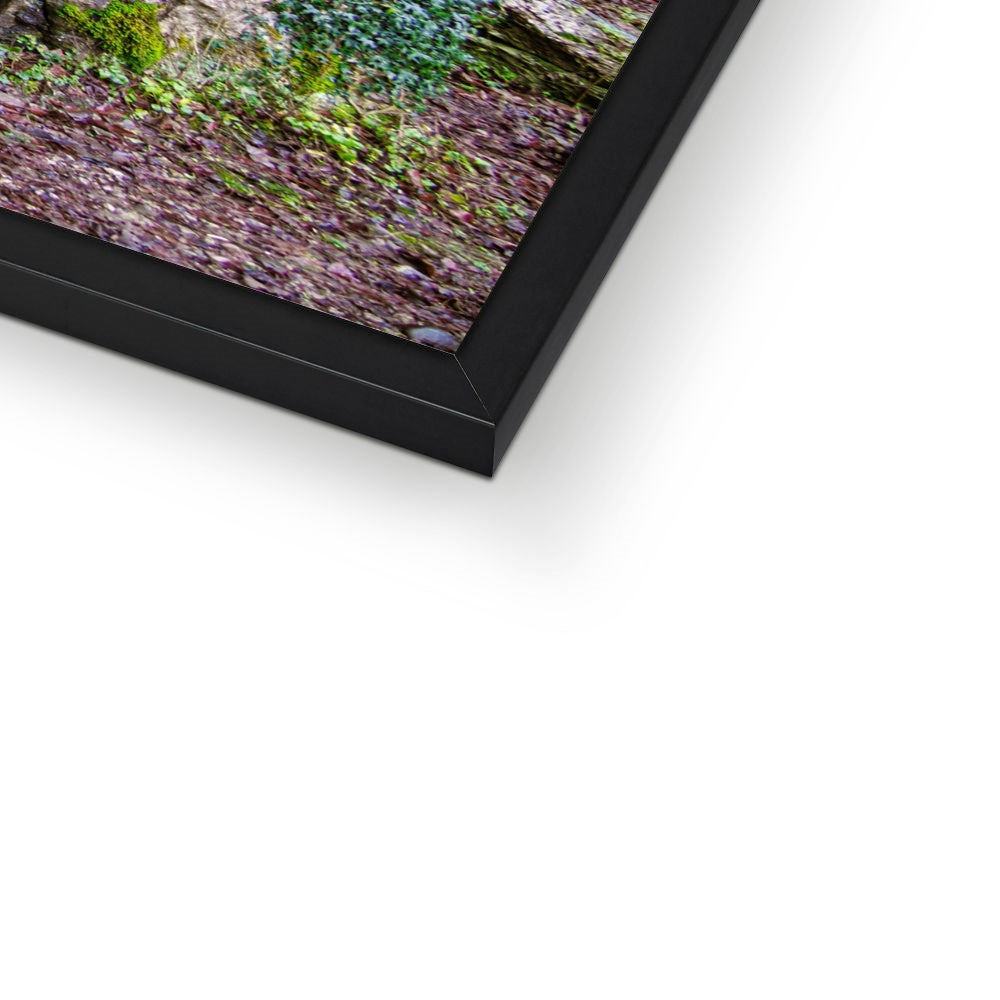 Woodwell Dawn Framed Print