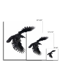 Raven 1 Wall Art Poster