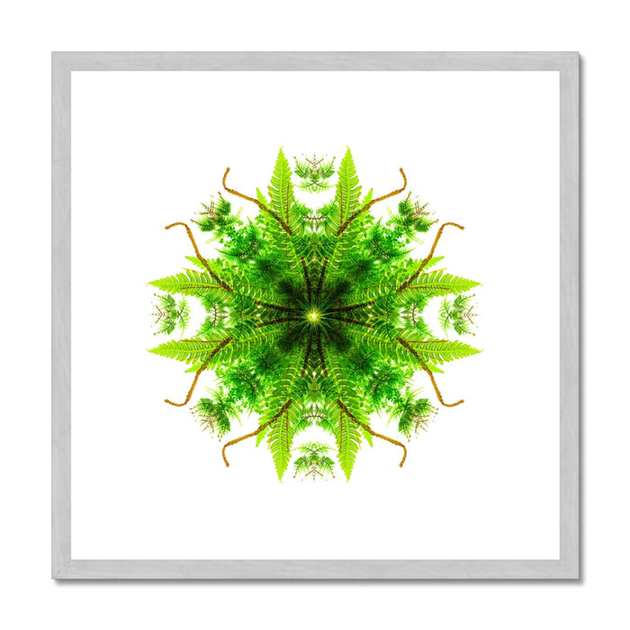 Heart of Nature Antique Framed & Mounted Print