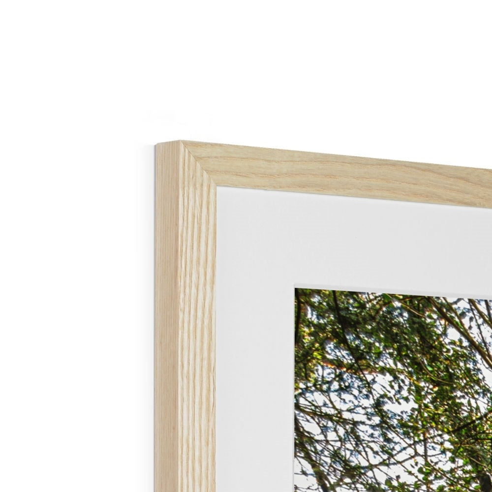 Boulder and Yew Framed & Mounted Print