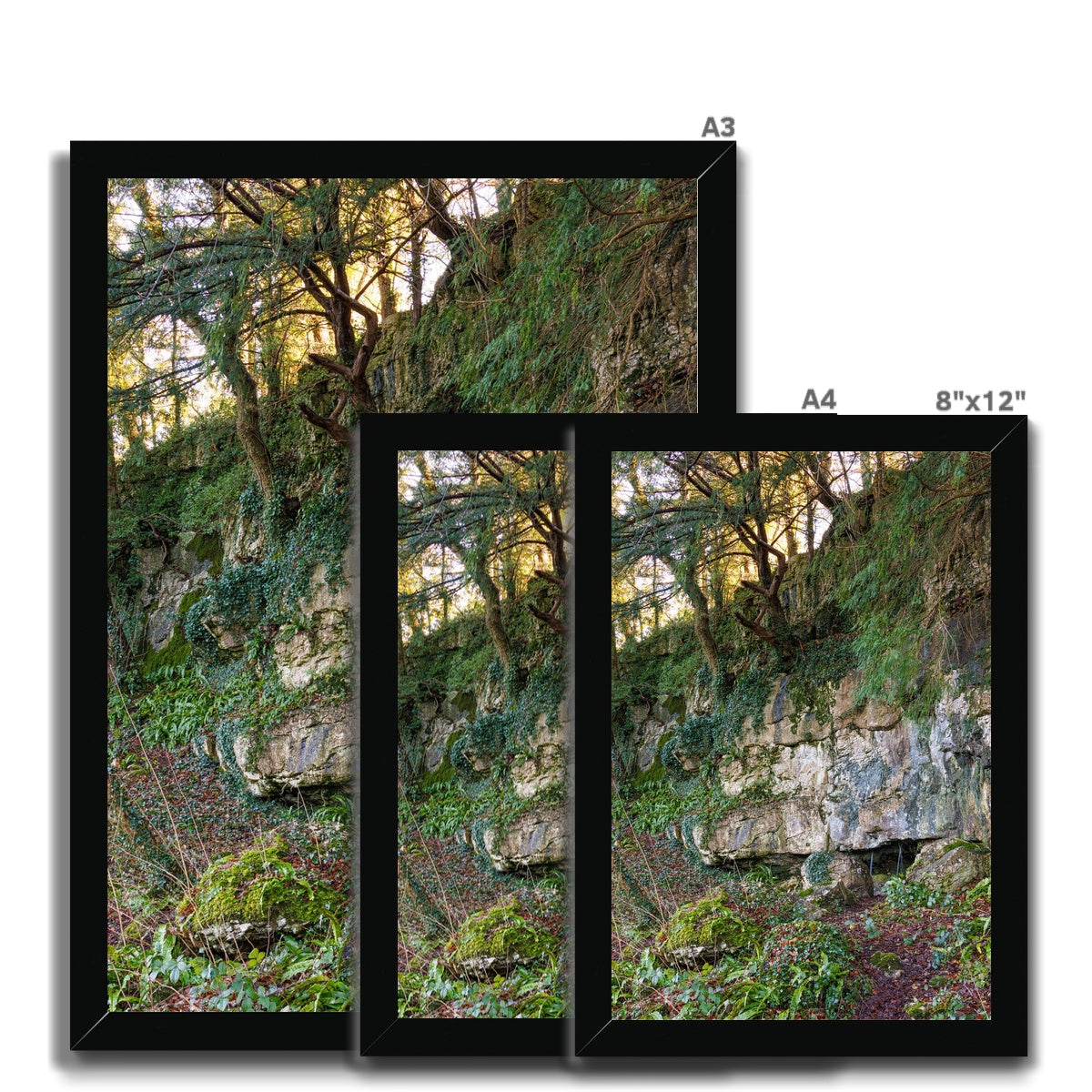Woodwell Mystery Framed Print