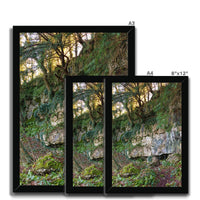 Woodwell Mystery Framed Print