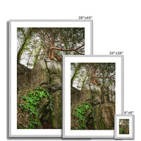 Boulder and Yew Antique Framed & Mounted Print