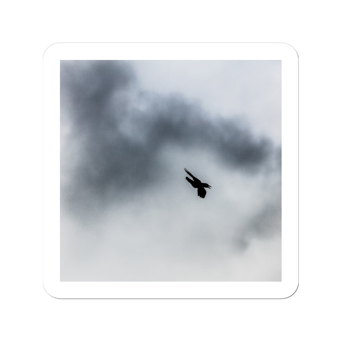 Storm Raven 3 Sticker