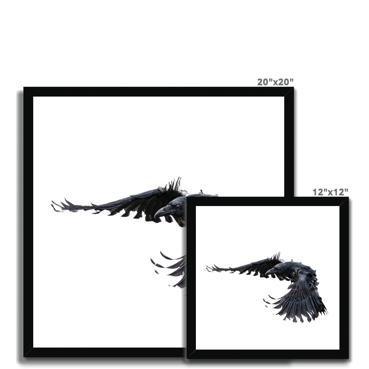 Raven 2 Framed Print
