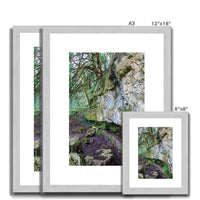 Yew guardian Antique Framed & Mounted Print