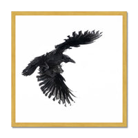 Raven 1 Antique Framed Print