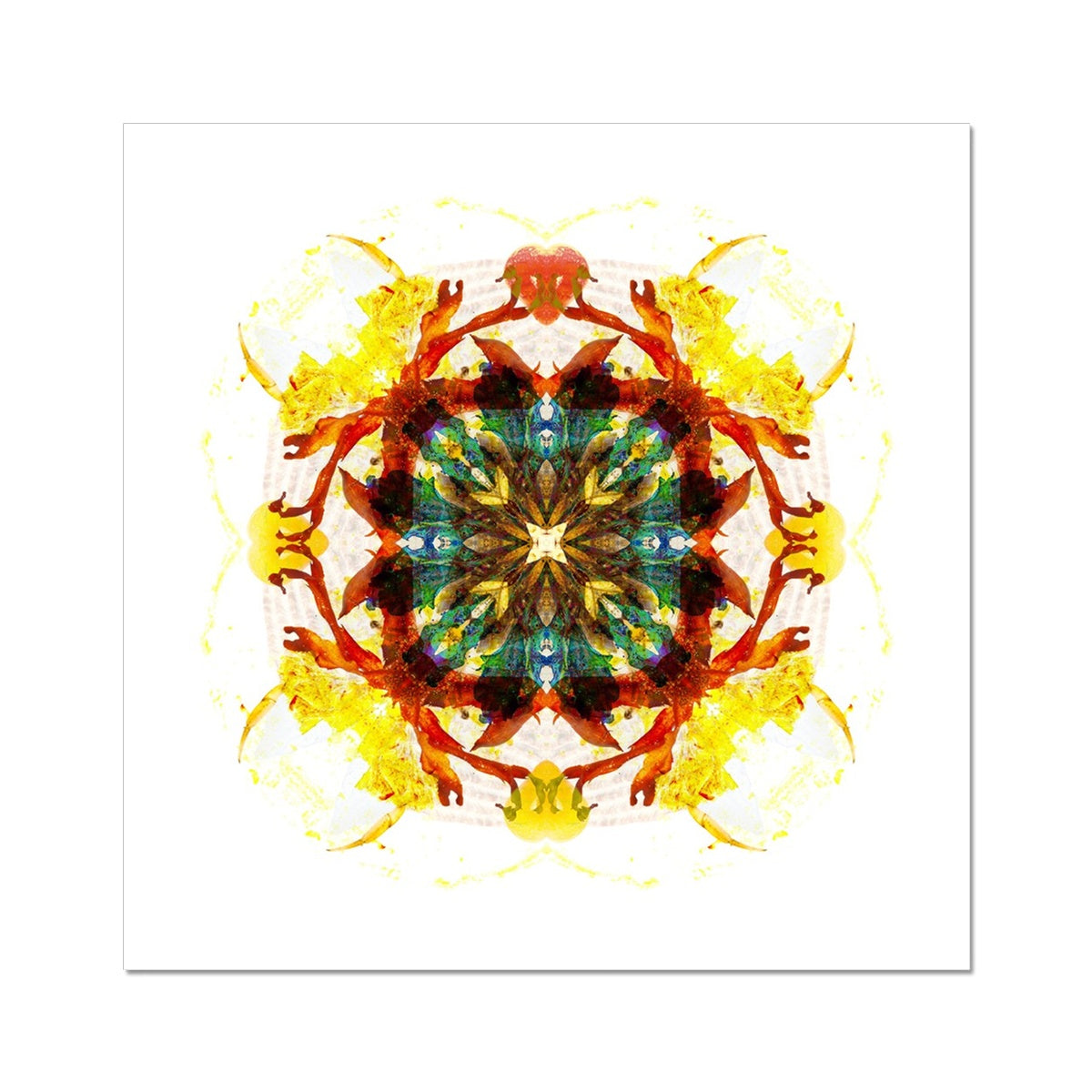 Earth Healing Hahnemühle Photo Rag Print