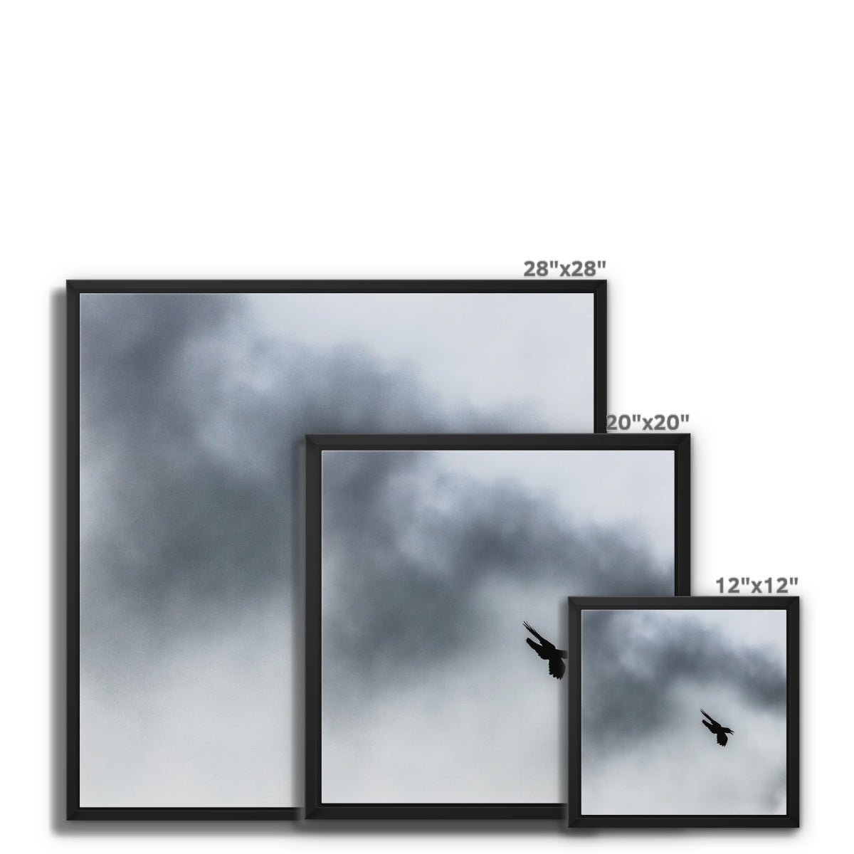 Storm Raven 3 Framed Canvas