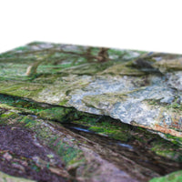 Yew guardian Canvas