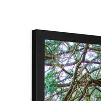 Yew guardian Framed Print