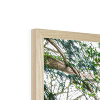 Rock Guardian Framed Print