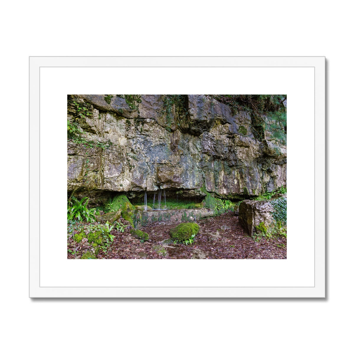 Woodwell Dawn Framed & Mounted Print