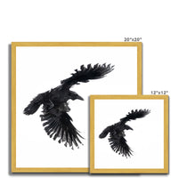 Raven 1 Antique Framed Print
