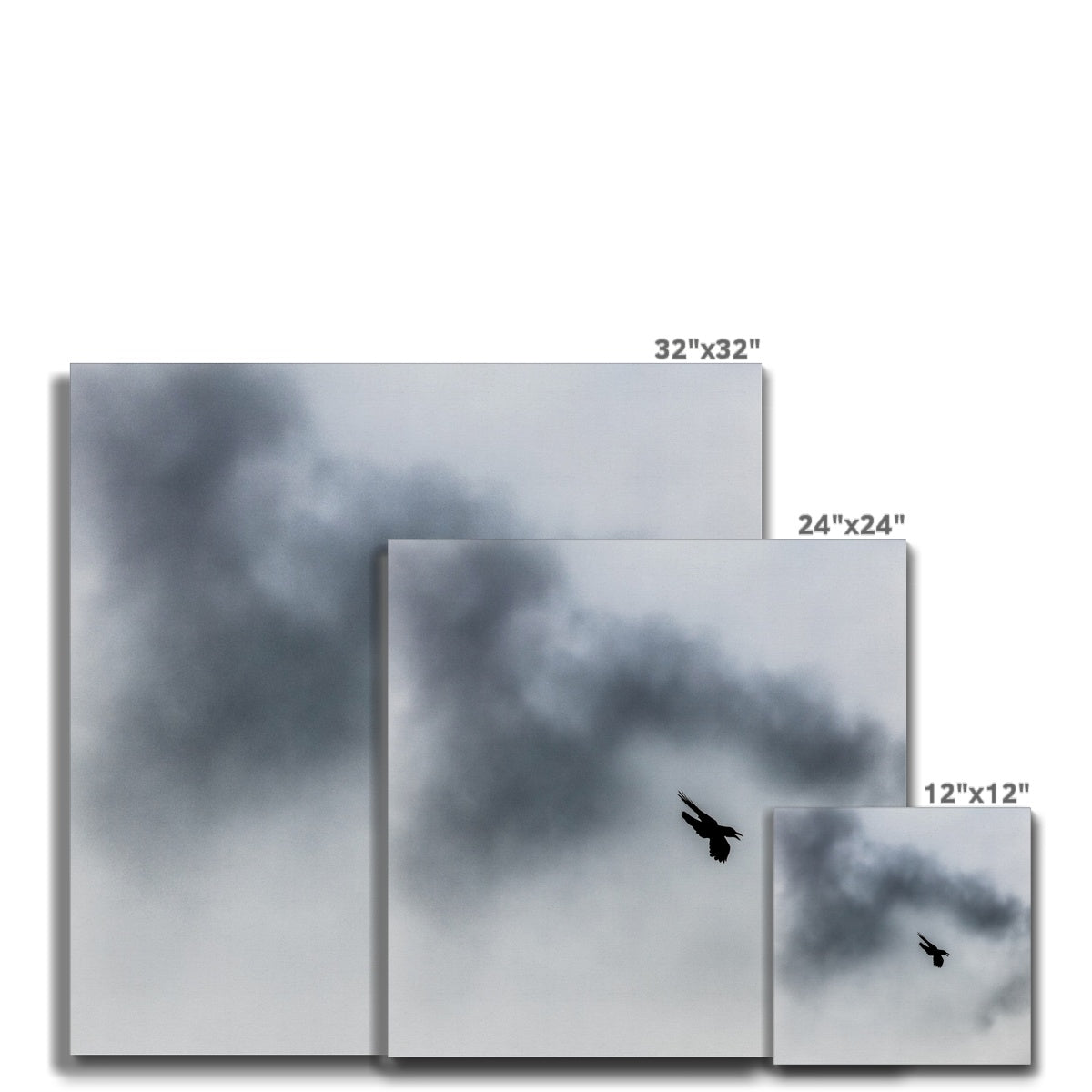 Storm Raven 3 Canvas
