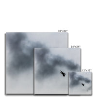 Storm Raven 3 Canvas