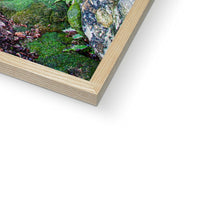 Yew guardian Framed Print