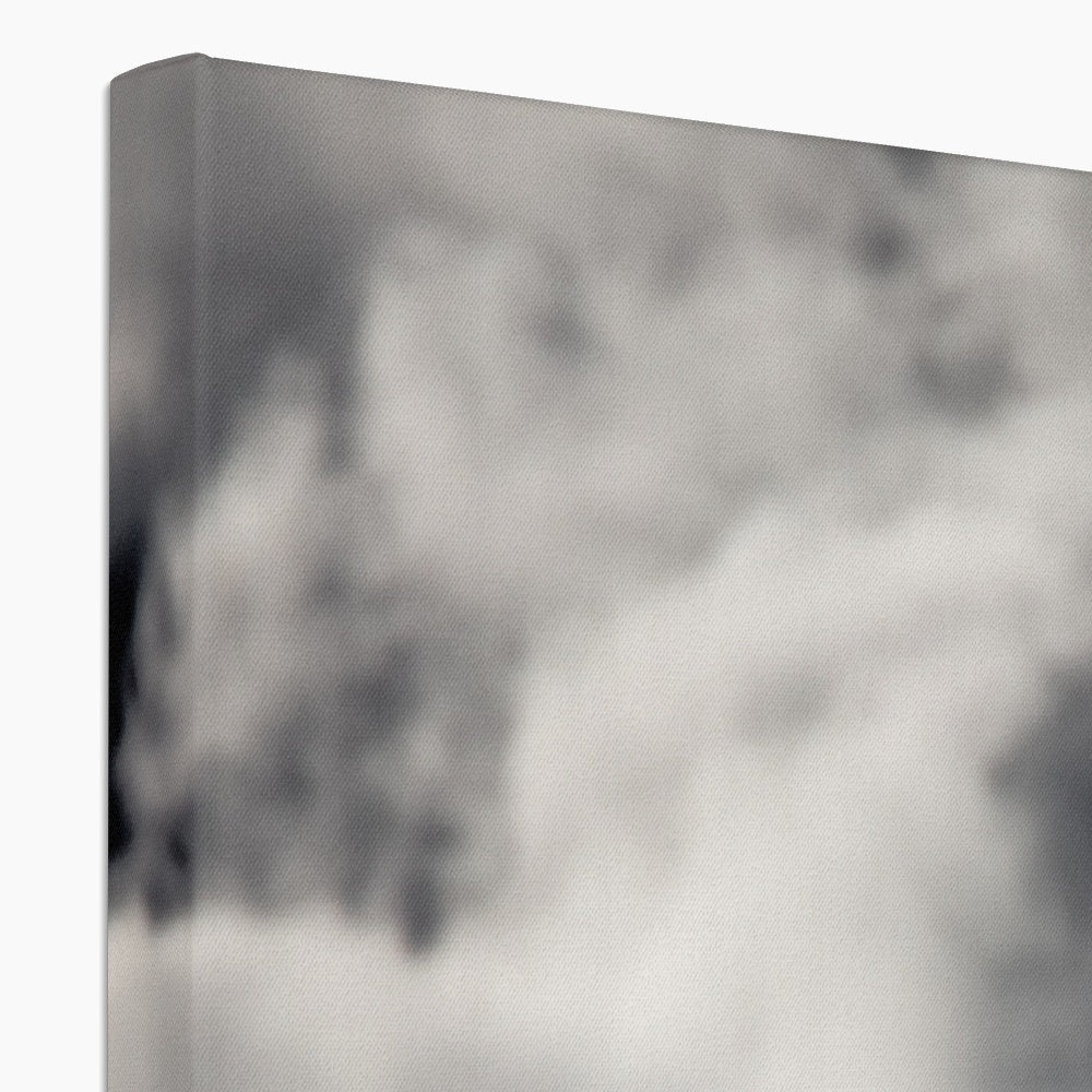 Storm Raven 1 Canvas