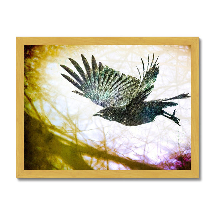 Woodland Crow Antique Framed Print