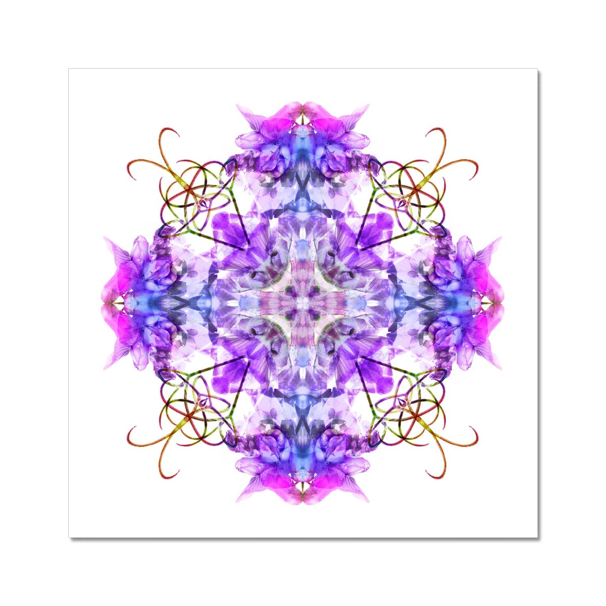 Cave Capriolique Fine Art Print