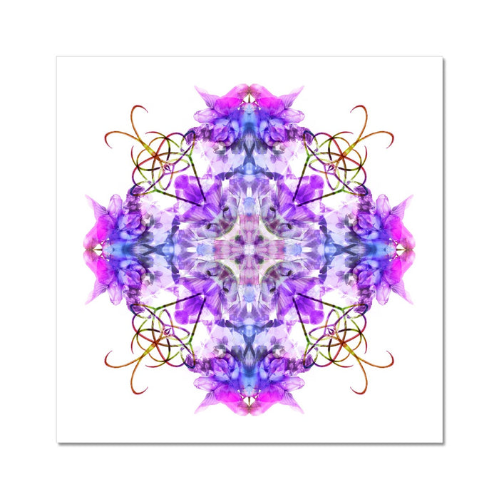 Cave Capriolique Fine Art Print
