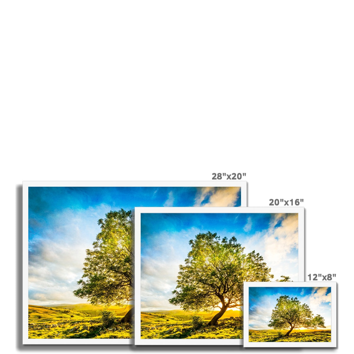 The Winskill Ash Framed Print