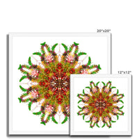 Bounty Mandala Budget Framed Poster