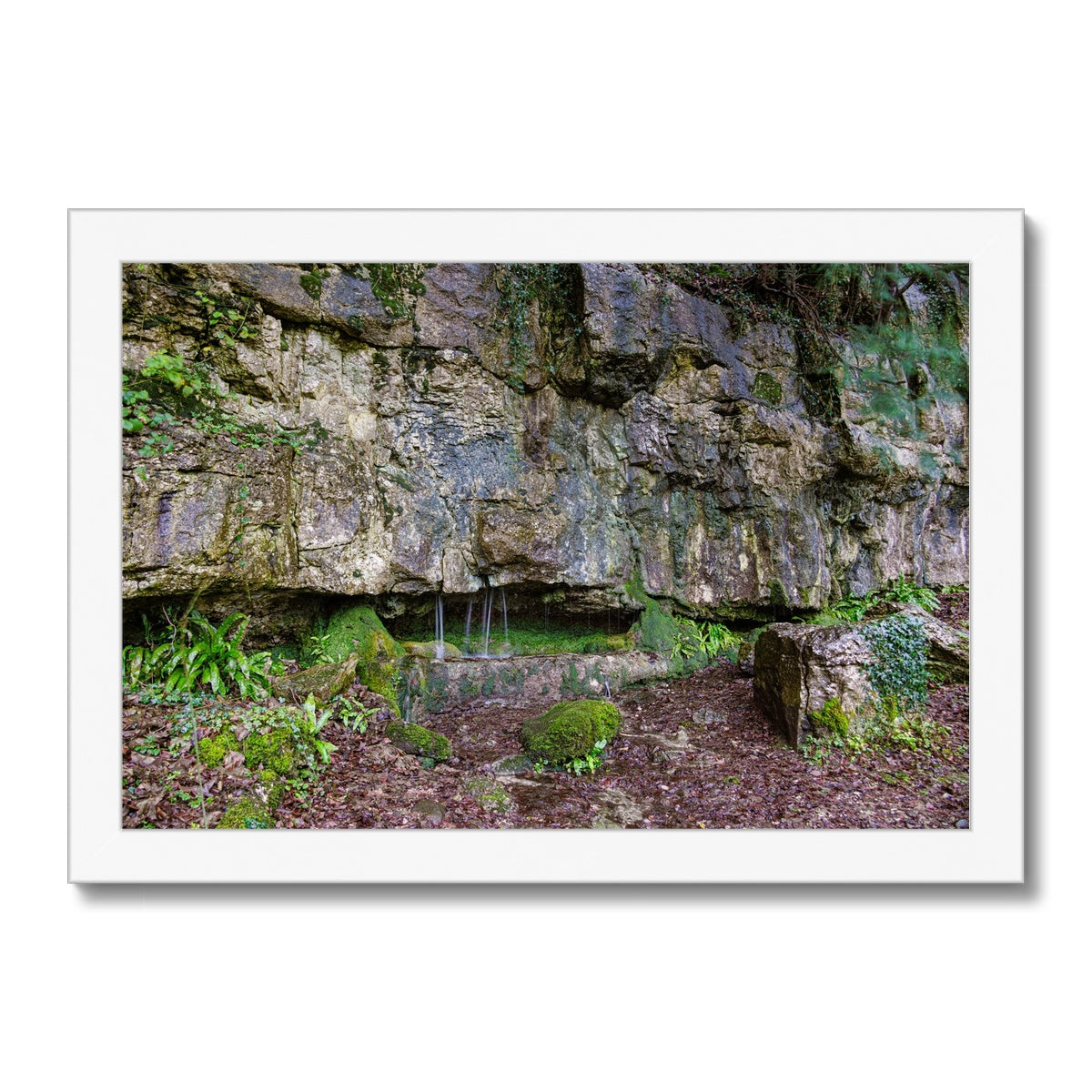 Woodwell Dawn Framed Print