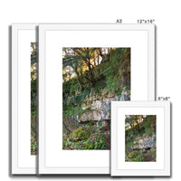 Woodwell Mystery Framed & Mounted Print