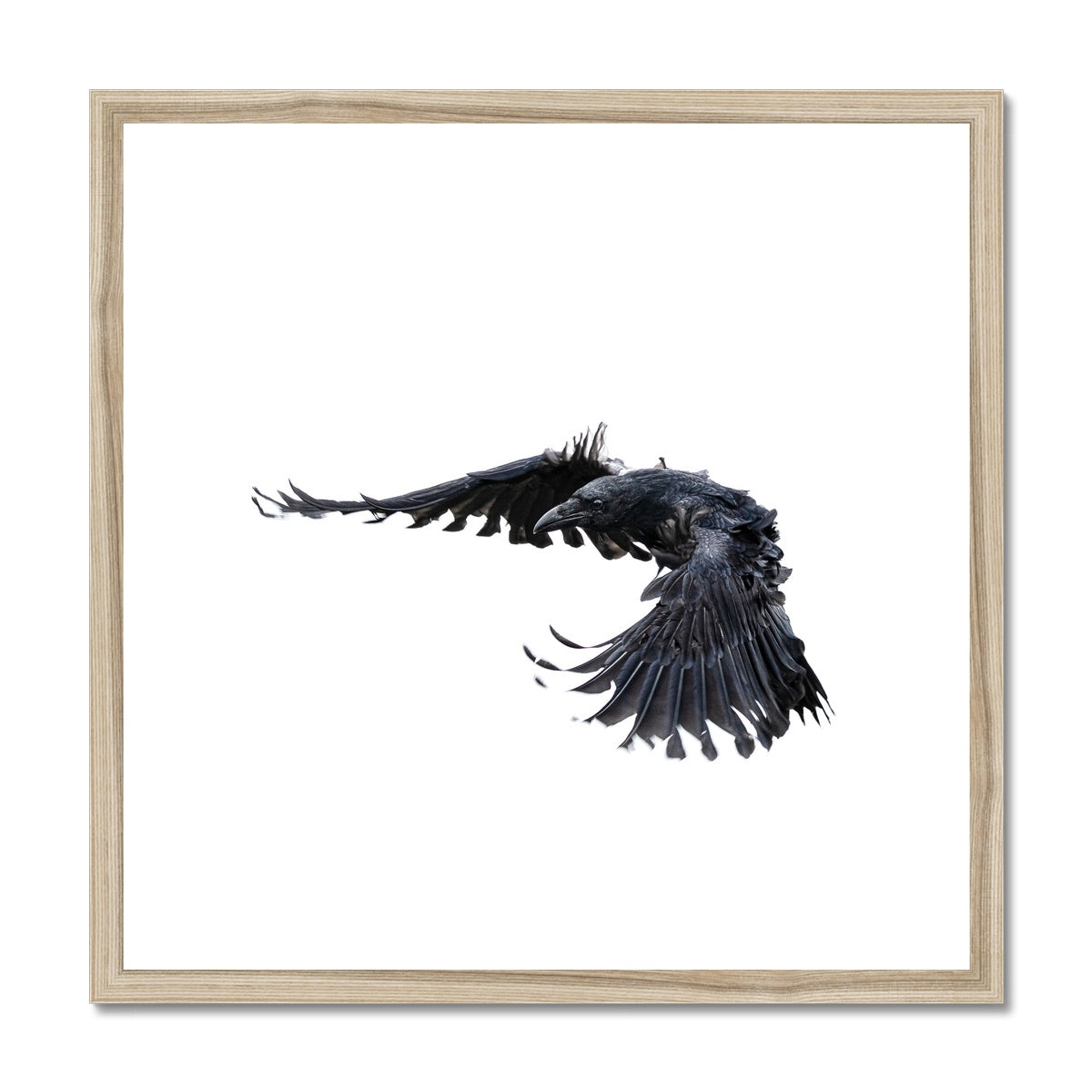 Raven 2 Framed & Mounted Print