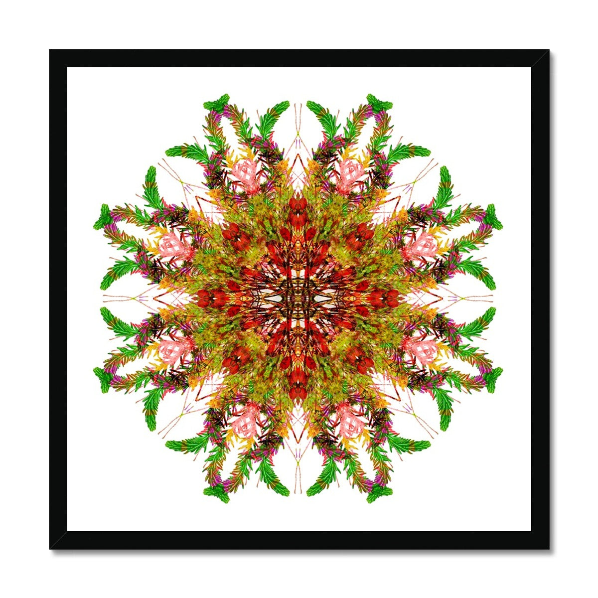 Bounty Mandala Budget Framed Poster
