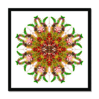 Bounty Mandala Budget Framed Poster