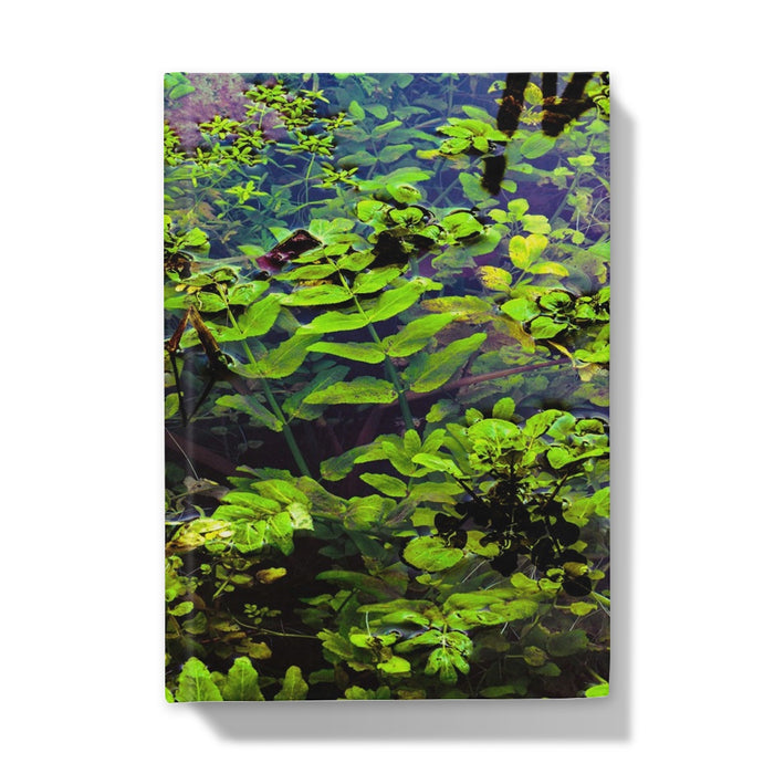 Woodwell Pool Hardback Journal
