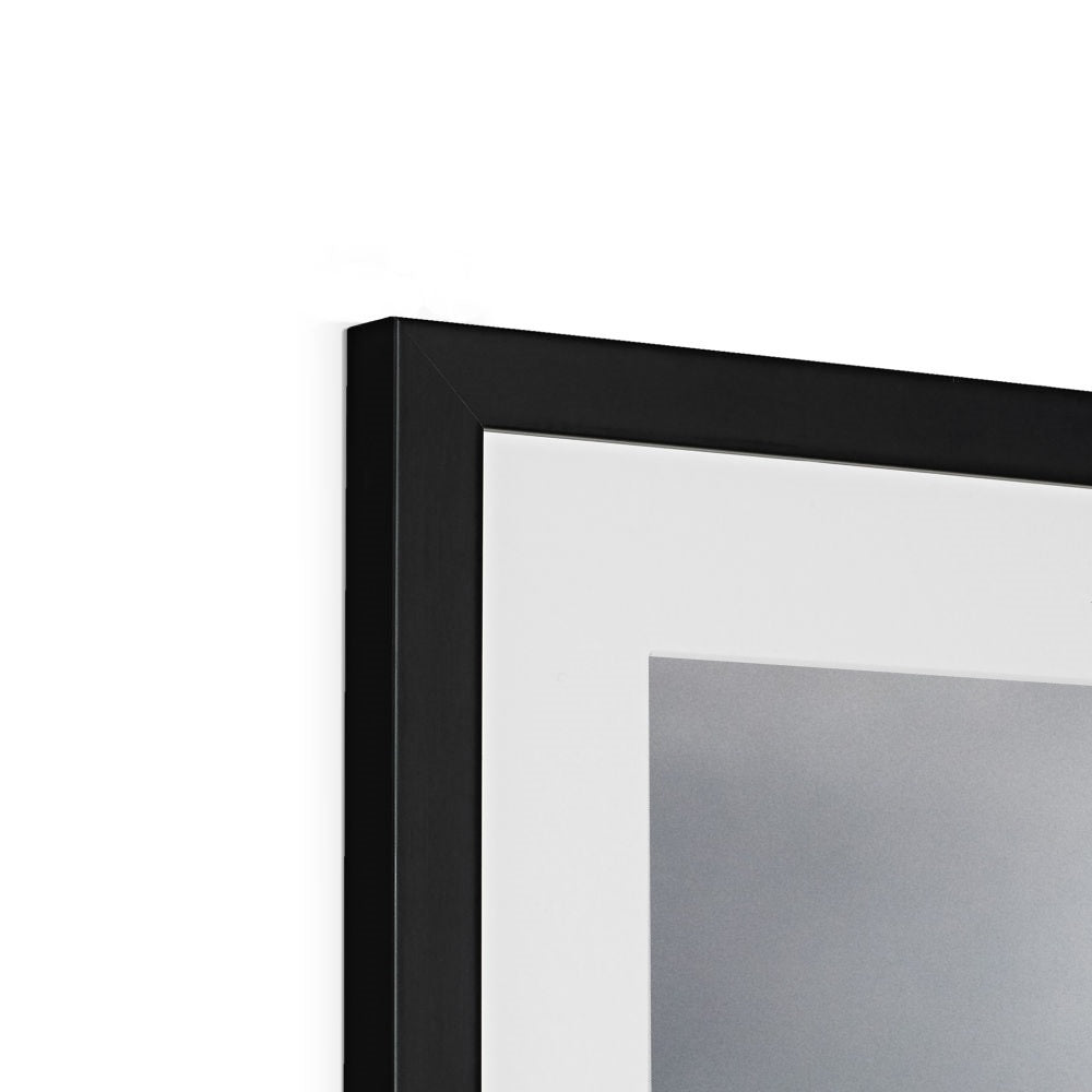 Storm Raven 2 Framed & Mounted Print