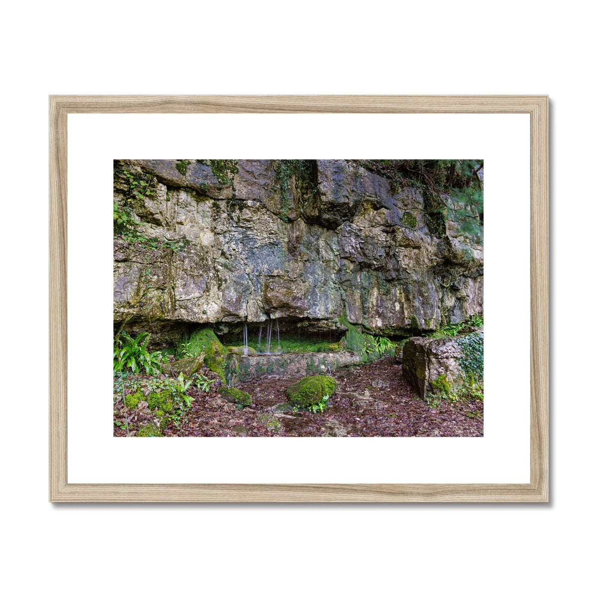 Woodwell Dawn Framed & Mounted Print