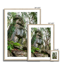 Rock Guardian Framed & Mounted Print