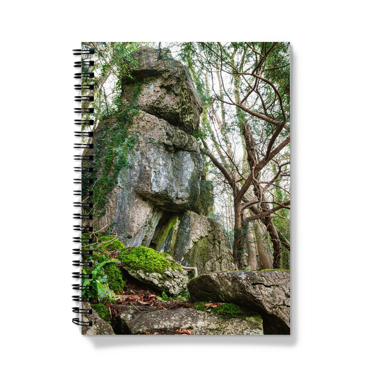 Rock Guardian Notebook