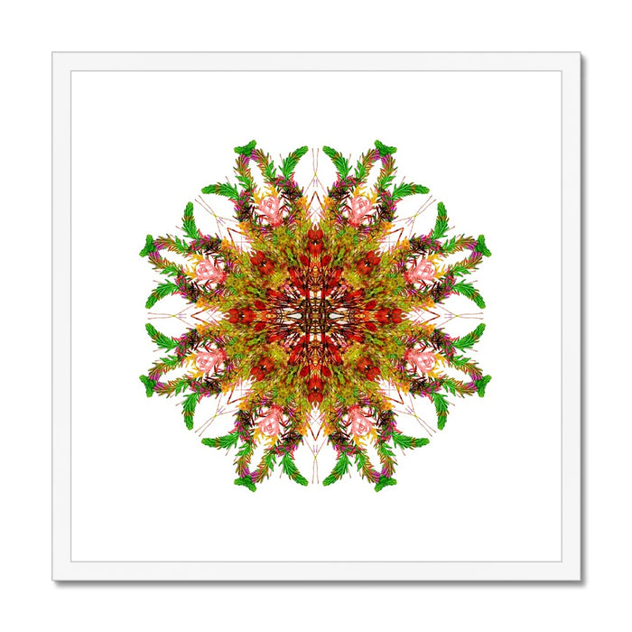 Bounty Mandala Framed & Mounted Print