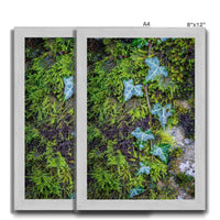 Ivy Clad Antique Framed Print