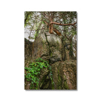 Boulder and Yew Canvas