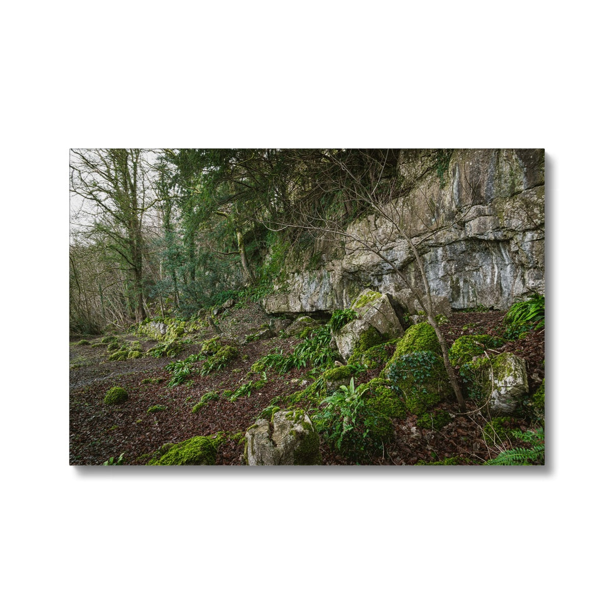 Woodwell Secrets Canvas