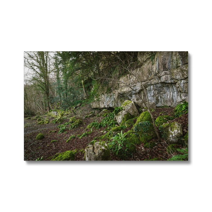 Woodwell Secrets Canvas