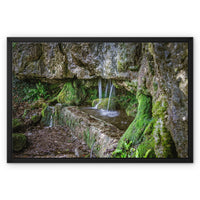 Woodwell basin Framed Canvas